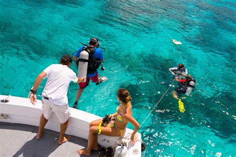 dive trips bahamas.